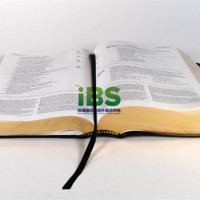 满分作文怎么炼成？如何写出满分作文？