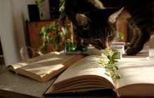 暑假开始准备国考应该做些什么？