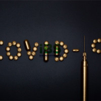 搞定形容词性物主代词和名词性物主代词