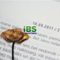 中国人学英文的四大问题点：讲不出来、不懂文法、单字太多、中式英文