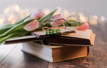 打造英文怎么说，打造英文例句！