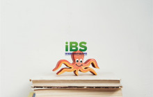 ball up/balls up的中文意思是？