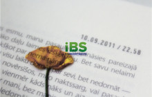 紧急英文怎么说，紧急英文怎么写？