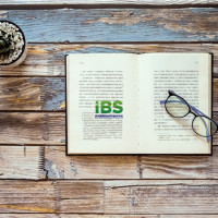 【英语语法】英语强调句的用法