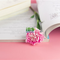 relationship什么意思，relationship的用法