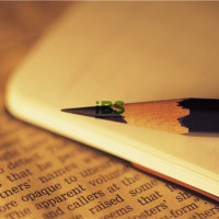 Budding Writers | 思考公共知识分子的身份