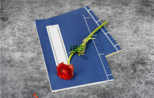 良好的社交技巧英文用语