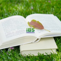 描述不同城镇风貌的8个英文词汇