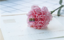 五个名词让你英文 level up！