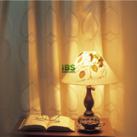 旅游、观光胜地英文怎么说？