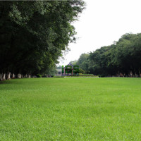 有哪些适合家长和孩子一起阅读的课外书?