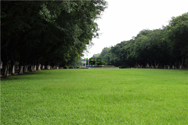 有哪些适合家长和孩子一起阅读的课外书?