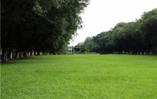 有哪些适合家长和孩子一起阅读的课外书?