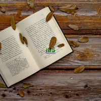 too 英文用法详细解说！