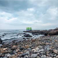 台风相关英文，英文关键字聊台风