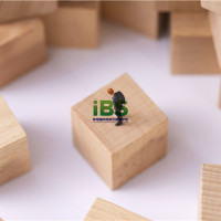 疫情期间雅思考试频频取消，留学申请该如何重新规划？