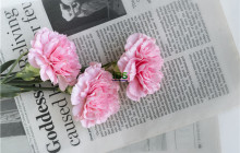 有一种恬静，叫顺其自然