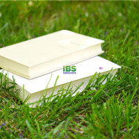 【英语学习】怎样提高英语口语能力（精髓）