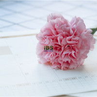 50条经典的英文谚语知识