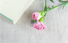 情人节经典英文句子