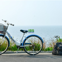 【英语语法】什么是名词