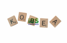 【英语口语】16句关于C字母开头的英语谚语大全