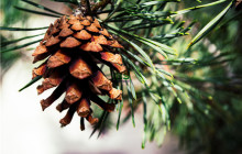 当100句传统谚语遇上英文，你都知道哪些？赶快收藏起来！