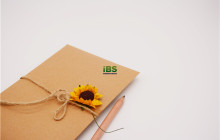 道歉英语只会说I'm sorry？试试这些更地道的表达吧！