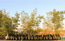 2013年3月1日全日制葡萄牙语火爆招生中