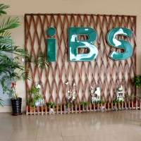 iBS新班福利来啦！