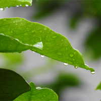 春天有6个节气分别是什么？如何用英语表达？