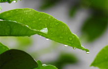 春天有6个节气分别是什么？如何用英语表达？