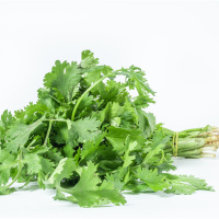 这段时间，兴起了“阳台种菜”，“种菜”的英语怎么说？