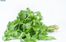 这段时间，兴起了“阳台种菜”，“种菜”的英语怎么说？