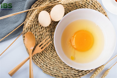 摄图网_500186439_EGG 鸡蛋（企业商用）.jpg