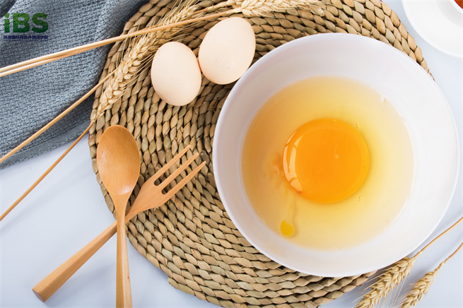 摄图网_500186439_EGG 鸡蛋（企业商用）.jpg