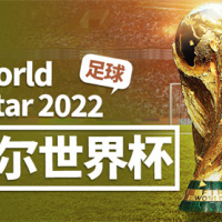 2022年卡塔尔世界杯英语大合集，世界杯相关英语