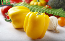 小米辣的英文怎么说？各种辣椒英语词汇和英文表达