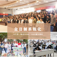 从零基础到精通：iBS外语学校为何备受青睐？