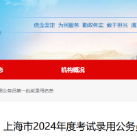 iBS | 2024年上海公务员拟录名单揭晓：留学群体最大赢家竟然是港硕？！