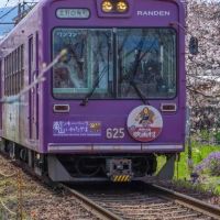 留学新趋势！中国留学生缘何“转向”日本，而非美国