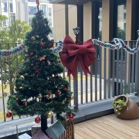 iBS圣诞联欢Party ，欢乐满校园，精彩乐翻天！